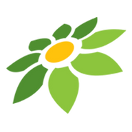 PHK TOKOPEDIA